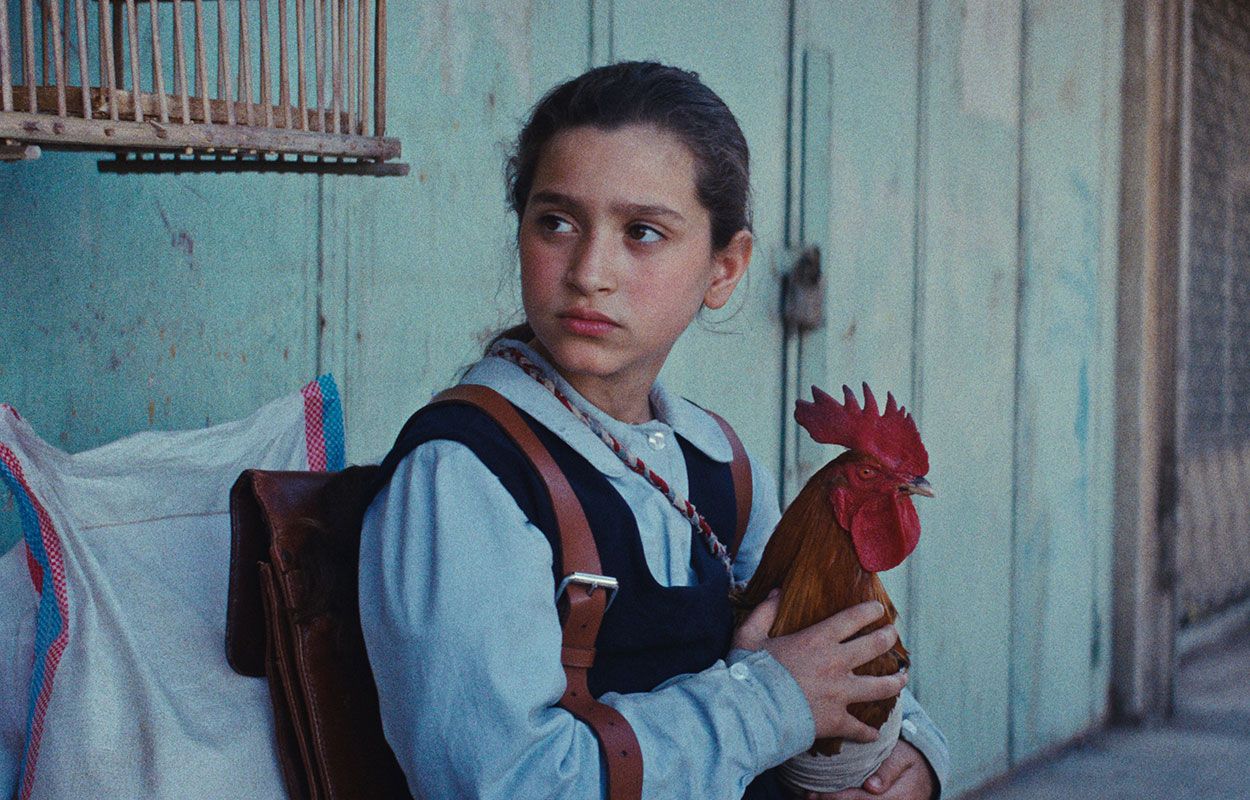 The President’s Cake